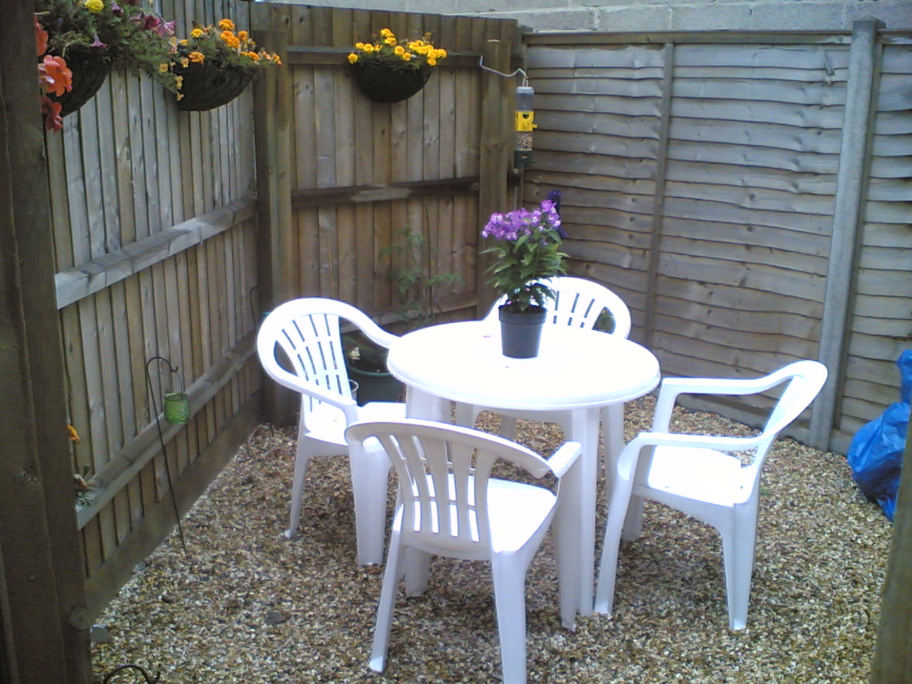 Our garden space